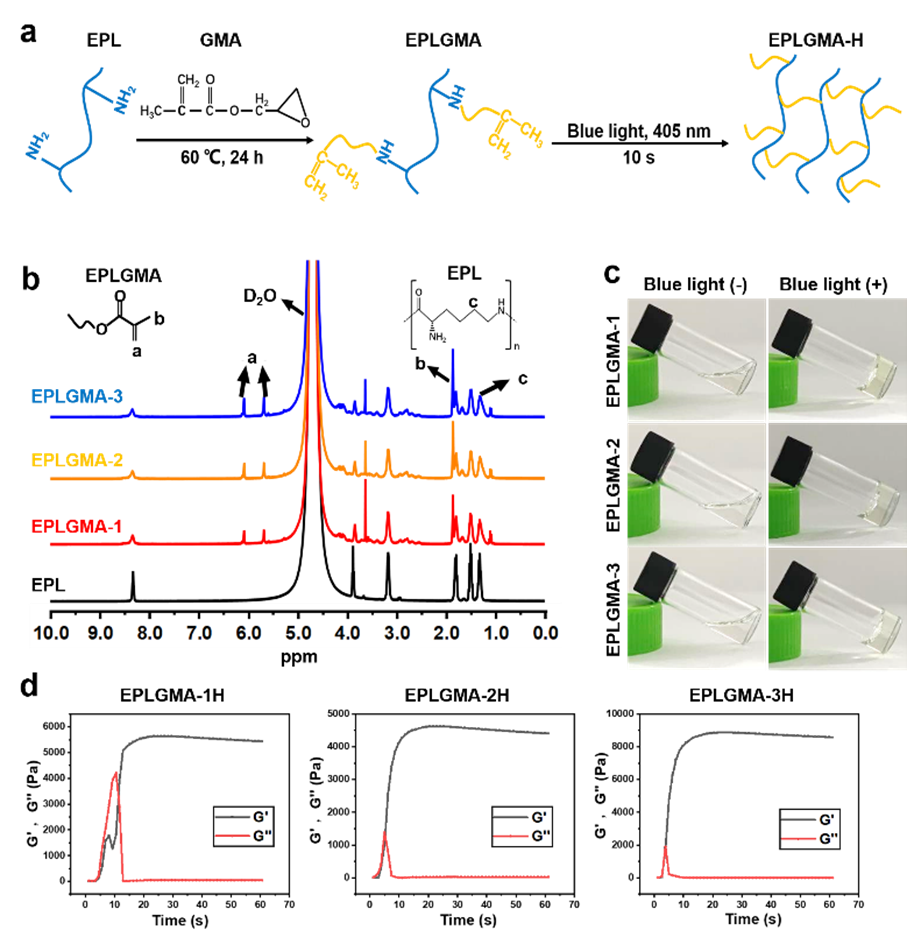 湖多米体育学刘海蓉课题组：一种可用于3D生物打印的抗菌ε-聚赖氨酸衍多米体育物墨水